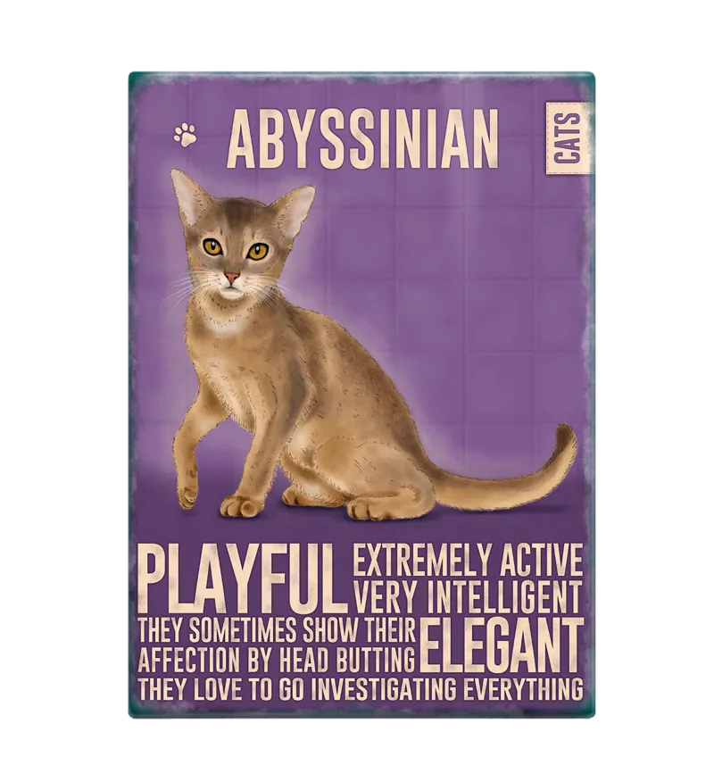 Abyssinian Cat Fridge Magnet