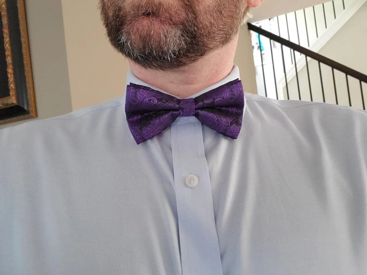 Alizeal Mens Paisley Bow Tie, Hanky and Cufflinks
